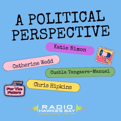 Political Perspectives with Labour and Coalition MP's